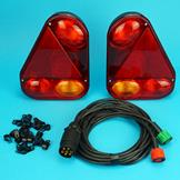 Radex 2900 Lamps with Pre-wired 4m Harness